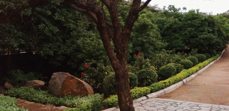 KASU BRAHMANANDA PARK
